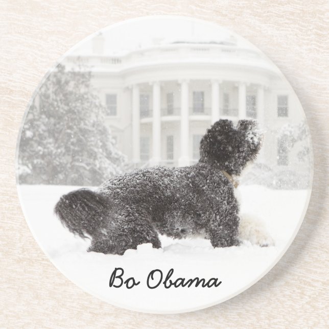 Bo Obama Coaster (Front)