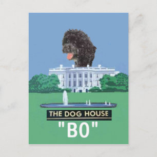 BO Postcard
