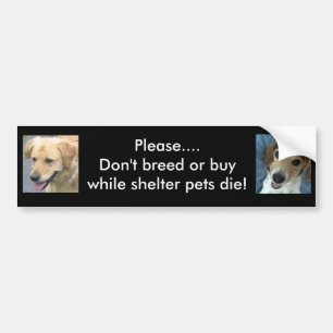 Bo & Stan bumper sticker