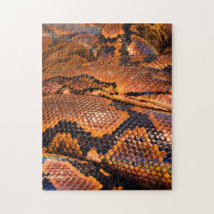 Boa Constrictor Jigsaw Puzzle