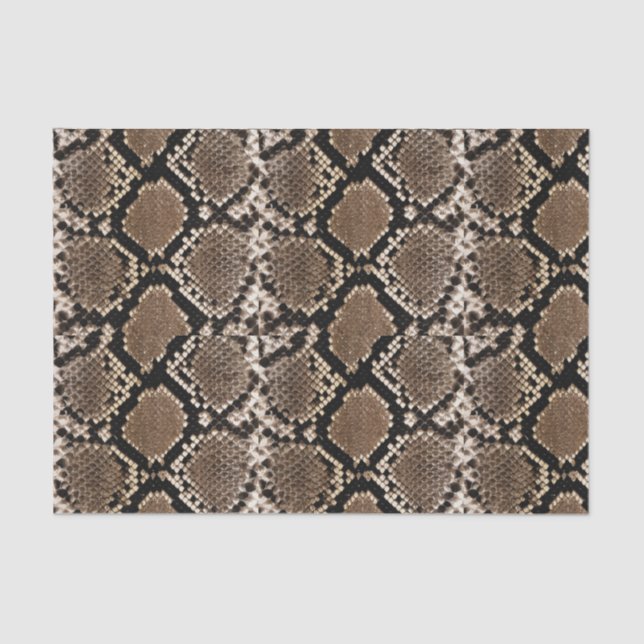 Boa Constrictor Snakeskin Tissue Paper (Front)