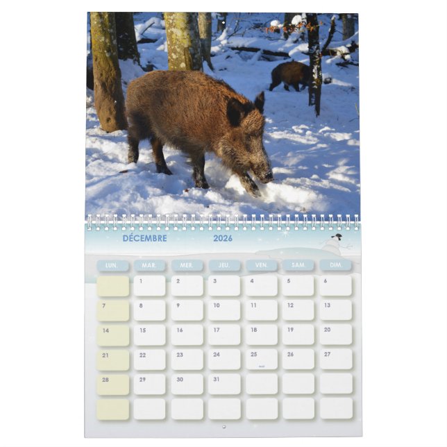 Boar Calendar, Calendar Boars (Dec 2026)