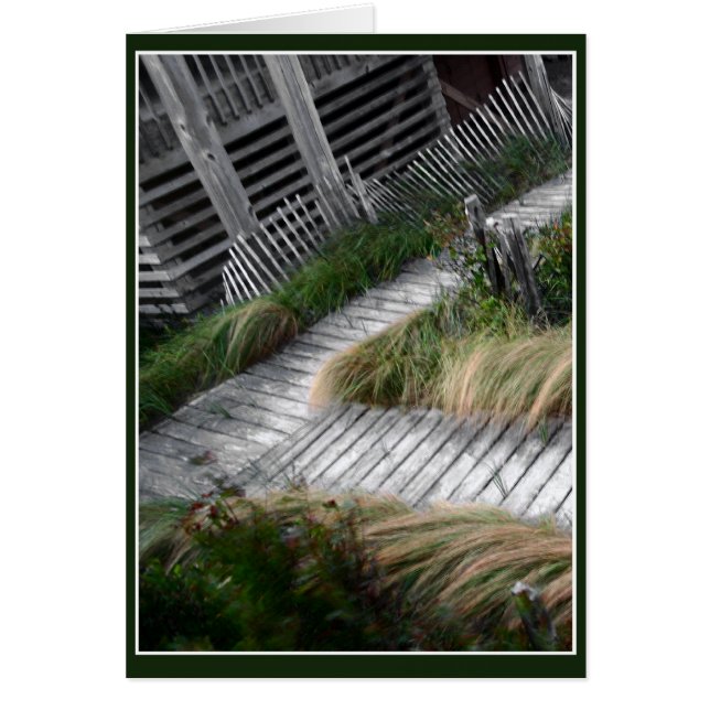 Board Walk Path (Front)