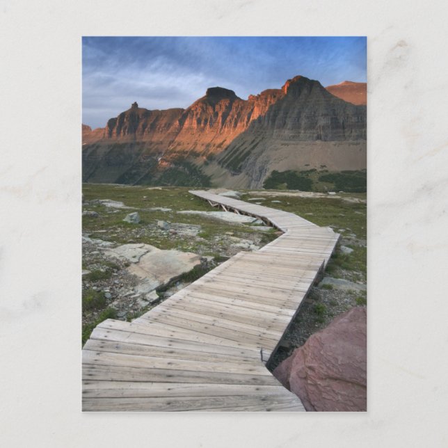 Boardwalk in Waterton Glacier International Postcard (Front)