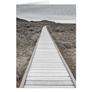 Boardwalk through the desert