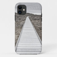 Boardwalk through the desert