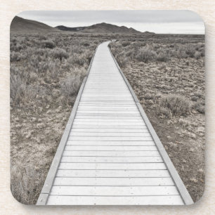 Boardwalk through the desert coaster