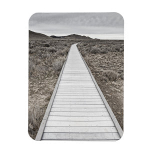 Boardwalk through the desert magnet