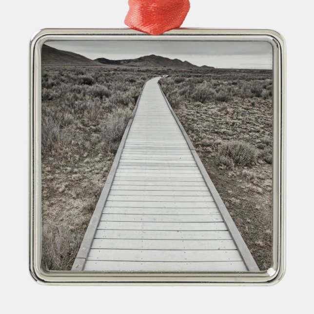 Boardwalk through the desert metal tree decoration (Front)
