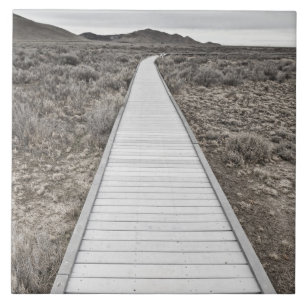 Boardwalk through the desert tile