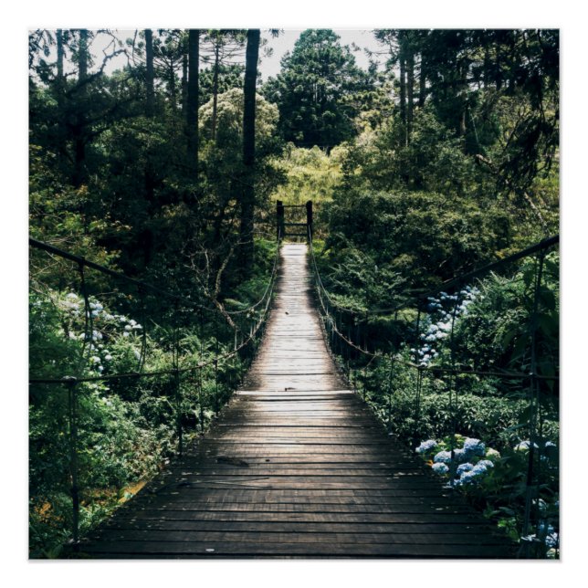 Boardwalk Through The Forest Poster (Front)