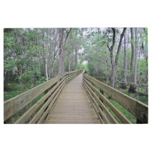 Boardwalk Through the Woods created as 