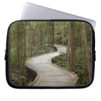 Boardwalk to Nelson Falls, Franklin - Gordon