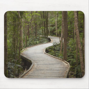 Boardwalk to Nelson Falls, Franklin - Gordon Mouse Pad