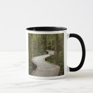 Boardwalk to Nelson Falls, Franklin - Gordon Mug