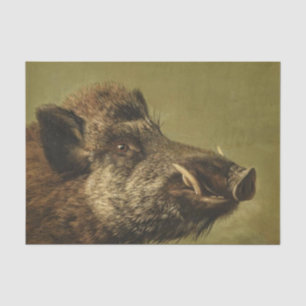 Boar's Head Tissue Paper