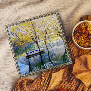 Boat Anchored Between Two Trees on a Lake Poster