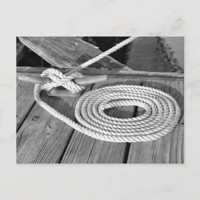 Boat Line Postcard (Front)