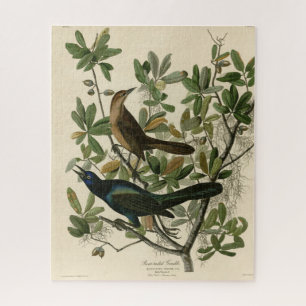 Boat-tailed Grackle - Audubon's Birds of America  Jigsaw Puzzle