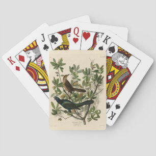 Boat-tailed Grackle - Audubon's Birds of America  Playing Cards
