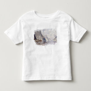 Boating on a Norwegian Fjord (oil on canvas) Toddler T-Shirt