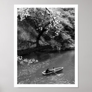 Boating on Chidorigafuchi: Tokyo, Japan  Poster