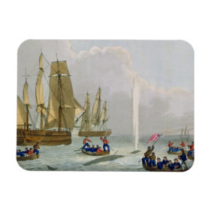 Boats Approaching a Whale, engraved by Matthew Dub Magnet
