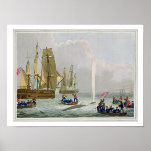Boats Approaching a Whale, engraved by Matthew Dub Poster