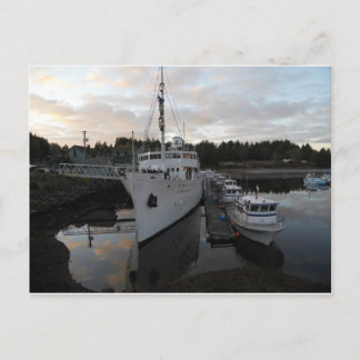 Boats at Dock Postcard