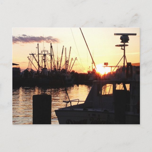Boats at Sunset Postcard (Front)