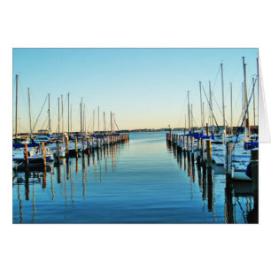 Boats at the Marina by Shirley Taylor