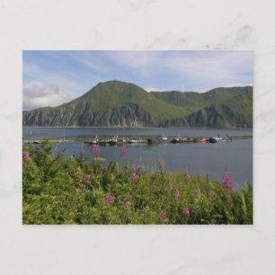 Boats at the spit in Dutch Harbour, Alaska Postcard