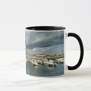 Boats In A Harbour Mug