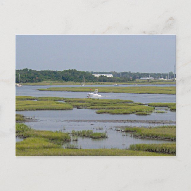 Boats in Lake Postcard (Front)