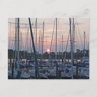 Boats in New Bern Postcard