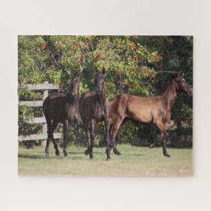 Bob Langrish 3 Andalucian Youngsters Standing Jigsaw Puzzle