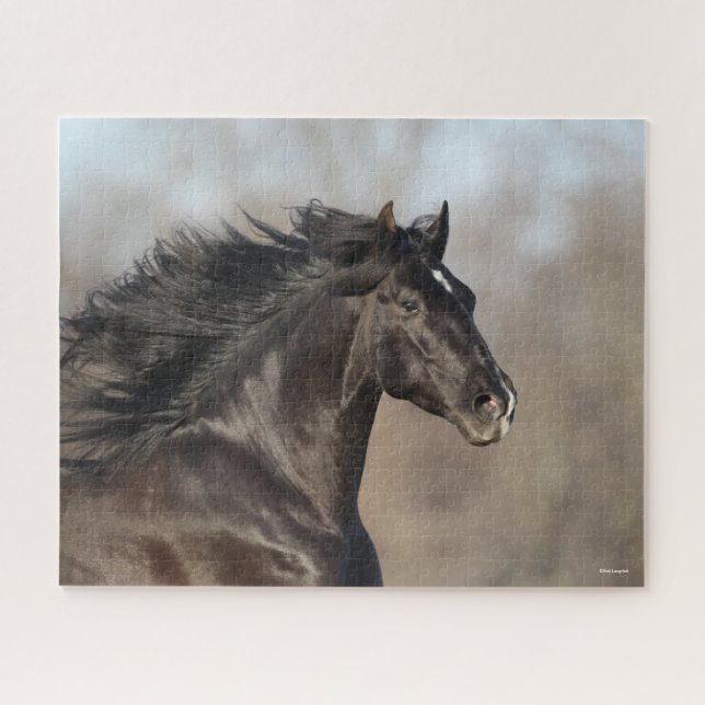 Bob Langrish | Andalucian Headshot Mane Flowing Jigsaw Puzzle (Horizontal)