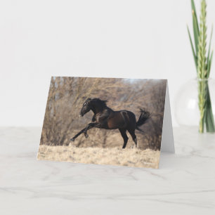 Bob Langrish   Andalucian Running Card