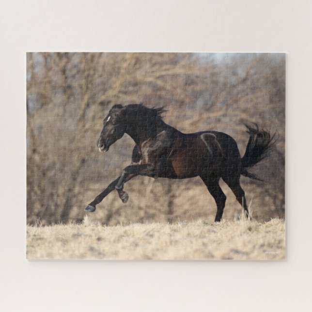 Bob Langrish | Andalucian Running Jigsaw Puzzle (Horizontal)