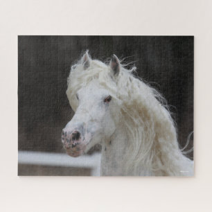 Bob Langrish Appaloosa Friesian Stallion Headshot Jigsaw Puzzle