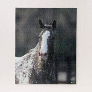 Bob Langrish   Appaloosa Headshot Jigsaw Puzzle