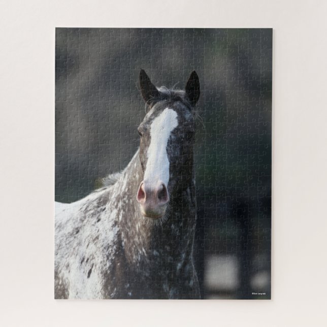 Bob Langrish | Appaloosa Headshot Jigsaw Puzzle (Vertical)
