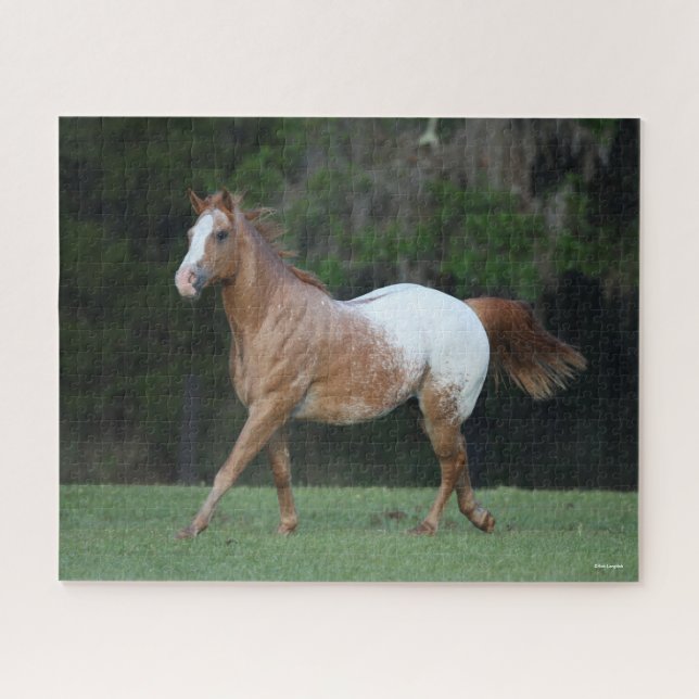 Bob Langrish | Appaloosa Horse Running Jigsaw Puzzle (Horizontal)
