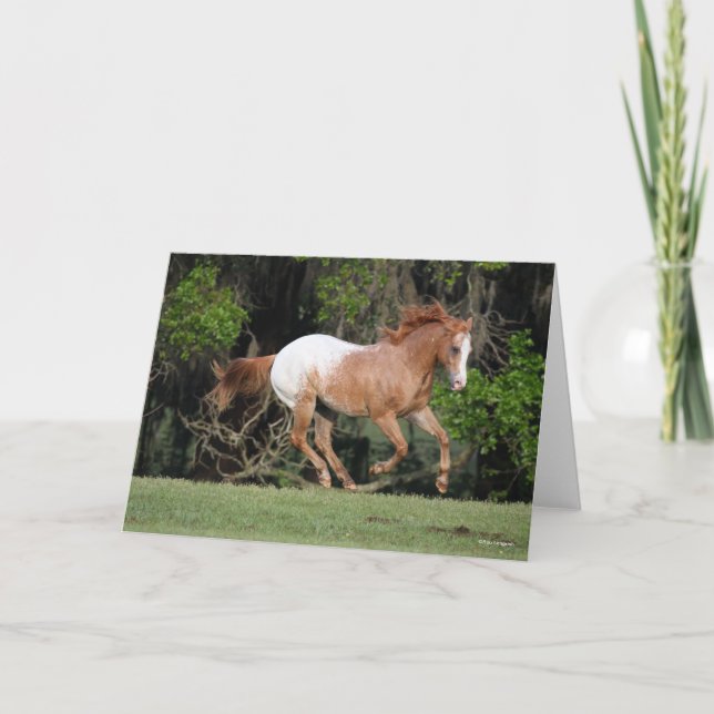 Bob Langrish | Appaloosa Running Card (Front)