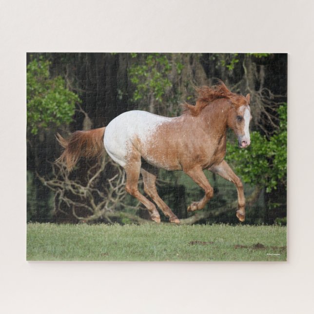 Bob Langrish | Appaloosa Running Jigsaw Puzzle (Horizontal)