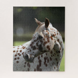 Bob Langrish   Appaloosa Standing Headshot Jigsaw Puzzle
