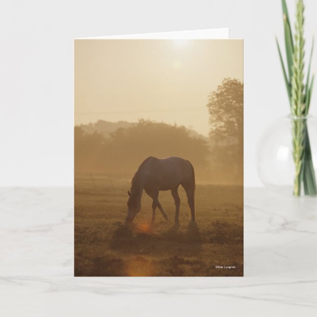 Bob Langrish | Arab Grazing At Sunset Card (Front)