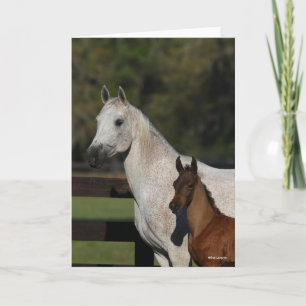 Bob Langrish   Arab Mare and Foal headshot Card