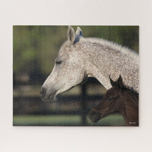 Bob Langrish Arab Mare and Foal Headshot Jigsaw Puzzle