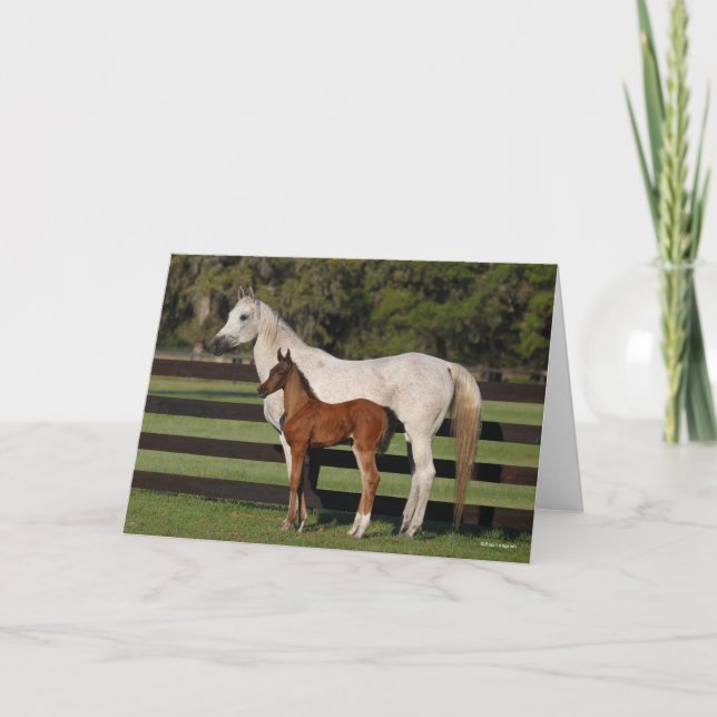 Bob Langrish Arab Mare and Foal Standing Together Card (Front)